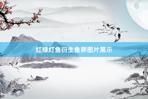 红绿灯鱼衍生鱼卵图片展示